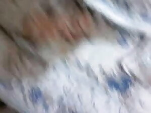 सैडी होम्स एक बड़ी ड ...
