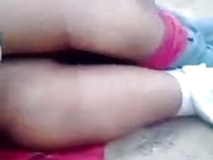 सुंदर कुतिया को वेबक ...