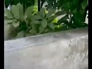 श्यामला बेब अबीगैल म ...